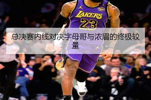 总决赛内线对决字母哥与浓眉的终极较量