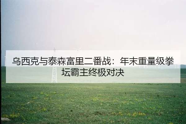 乌西克与泰森富里二番战：年末重量级拳坛霸主终极对决